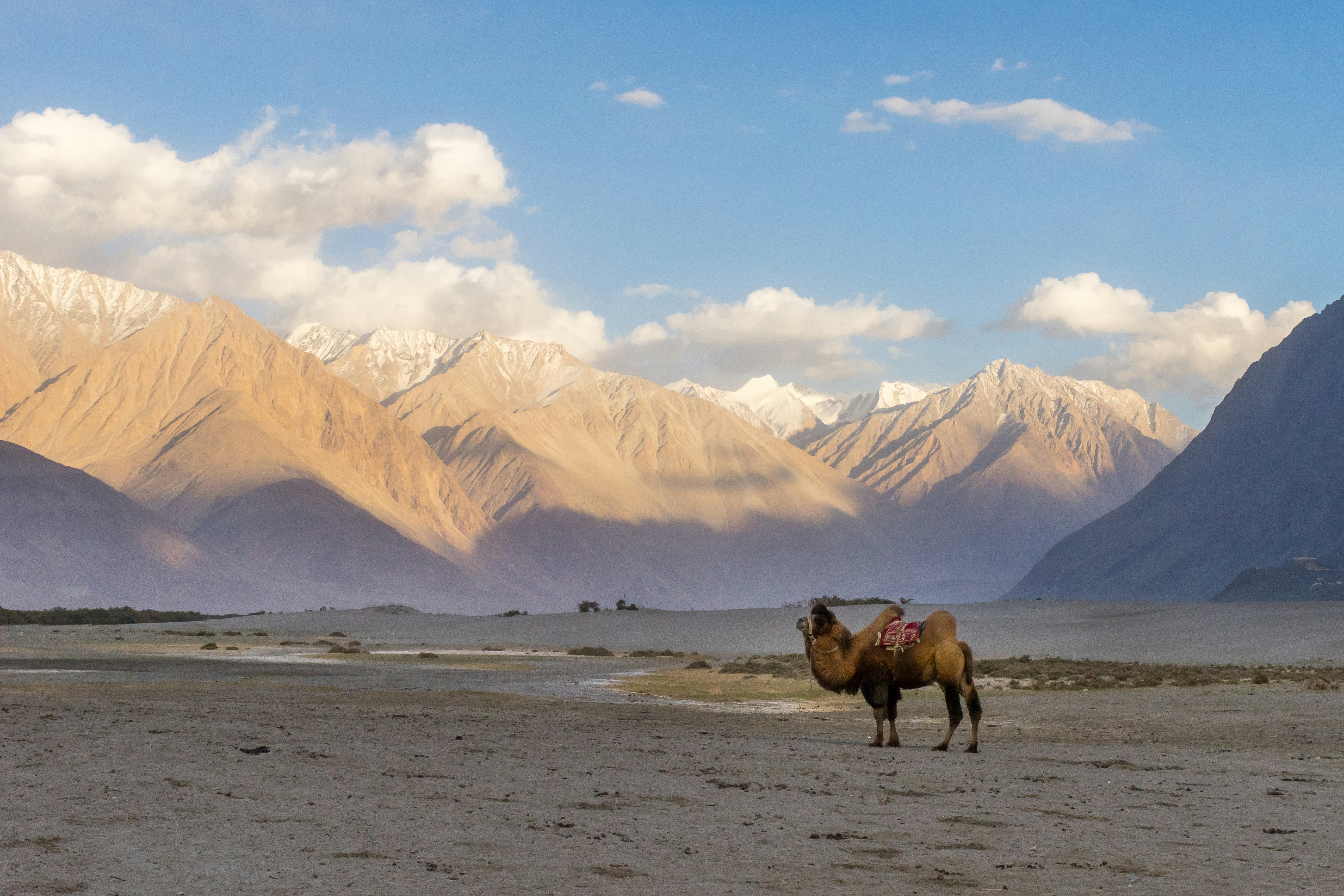 Ladakh Expedition